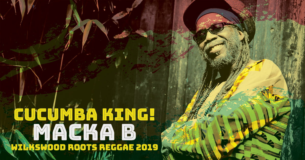 Macka B at Wilkswood Roots Reggae 2019